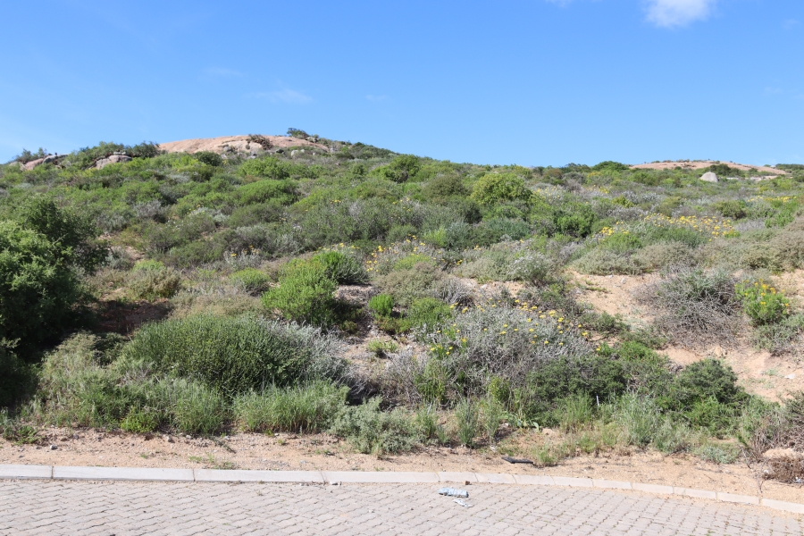 0 Bedroom Property for Sale in Steenbergs Cove Western Cape